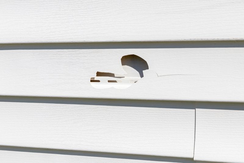 Assessing Siding Damage